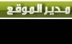 الوسائل البديلة للعمل السياسي