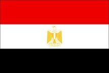 مصر- حكم محكمة القضاء الاداري بوقف تنفيذ وإلغاء قرار إداري سلبي
