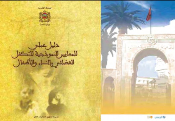 نسخة من دليل عملي للمعايير النموذجية للتكفل القضائي بالمرأة و الطفل