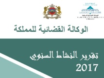 نسخة كاملة من التقرير السنوي للوكالة القضائية للمملكة برسم سنة 2017 الصادر بتاريخ 14 يونيو 2019