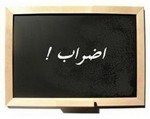 تنظيم الإضراب والإصلاح الشامل تنظيم الإضراب والإصلاح الشامل