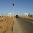 قضية الصحراء بين تقرير الامين العام وقرار الامم المتحدة 2044 قضية الصحراء بين تقرير الامين العام وقرار الامم المتحدة 2044