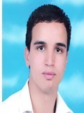 مراقب الحسابات مراقب الحسابات