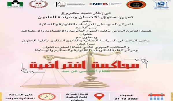 المحاكمة الافتراضية بنظام التقاضي عن بعد آلية للجمع بين القانون والواقع للترافع عن قضايا حقوق الانسان