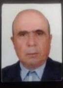 معضلة أعضاء المجلس الدستوري مع التأويل الدستوري القويم معضلة أعضاء المجلس الدستوري مع التأويل الدستوري القويم