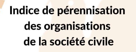  L’Institut Prometheus : L’INDICE DE DURABILITÉ DES ORGANISATIONS DE LA SOCIÉTÉ CIVILE