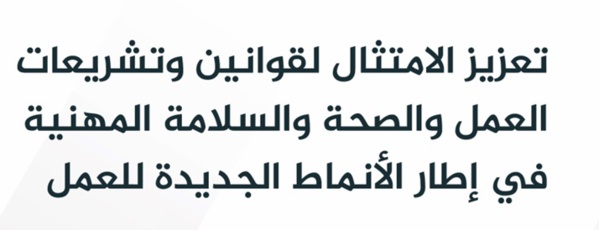 دليل تدريبي حول تفتيش العمل والصحة والسلامة المهنية في إطار الأنماط الجديدة للعمل