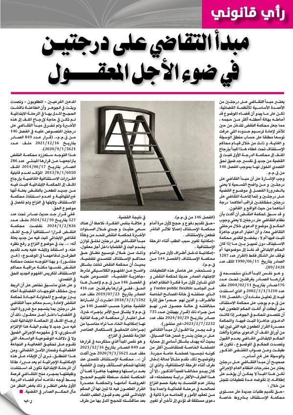 ذ. رضى بلحسين يكتب: مبدأ التقاضي على درجتين  في ضوء الأجل المعقول