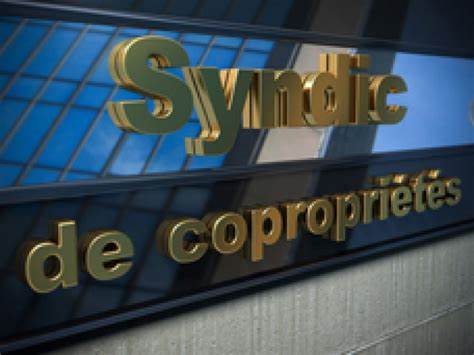 Le « syndic d’intérêt collectif », OVNI juridique ou nouvel outil indispensable au traitement des copropriétés dégradées ? Le « syndic d’intérêt collectif », OVNI juridique ou nouvel outil indispensable au traitement des copropriétés dégradées ?