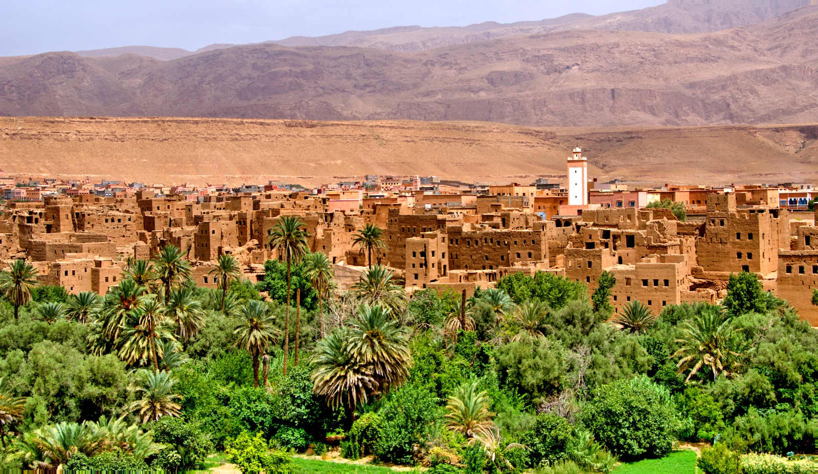 الجرائم الماسة بملكية الأراضي السلالية وإشكالية الإذن الإداري لتحريك الدعوى العمومية في ضوء القانون 62.17 والعمل القضائي