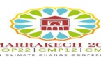 رابط تتبع كل تفاصيل cop 22