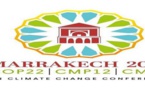 تقرير حول كوب 22