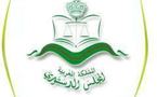 جرد عملي لإجراءات الطعون الانتخابية أمام المجلس الدستوري