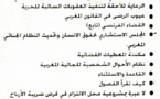 نسخة كاملة من العدد 31 لمجلة الملحق القضائي 