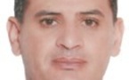 دور المراجعة والشفافية المالية في ترشيد الإدارة العليا