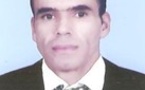 الولايات المتحدة الأمريكية و الأزمة الأوكرانية بين روسيا و الغرب :  سياسة الكيل بمكيالين في المواقف الأمريكية.