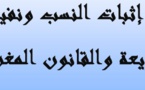 وسائل إثبات النسب ونفيه بين الشريعة والقانون المغربي