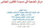 مداخلة الدكتور محمد الهيني خلال أشغال ندوة المجلس الوطني لحقوق الإنسان حول القانون الجنائي والمسطرة الجنائية رهانات وإصلاح بمقر مجلس النواب