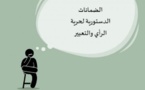 الضمانات الدستورية لحرية الرأي والتعبير