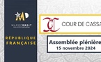 SOCIETE PAR ACTIONS SIMPLIFIEE - Associés - Participation et vote aux décisions collectives - Majorité requise - Majorité des voies exprimées