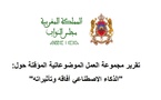 تقرير مجموعة العمل الموضوعاتية المؤقتة حول الذكاء الاصطناعي وافاقه وتأثيراته 