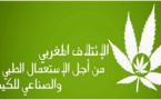 إلى السادة ممثلي الأمة بمجلسي النواب والمستشارين: بشأن الدورة الاستثنائية للجمعية العامة لهيئة الأمم المتحدة حول المخدرات – 2016