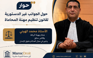 حوار مع د. الهيني حول  الجوانب غير الدستورية لقانون تنظيم مهنة المحاماة
