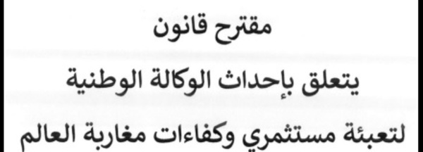 مقترح قانون يتعلق بإحداث الوكالة الوطنية لتعبئة مستثمري وكفاءات مغاربة العالم