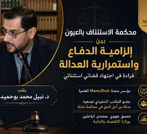 محكمة الاستئناف بالعيون بين إلزامية الدفاع واستمرارية العدالة: قراءة في اجتهاد قضائي استثنائي