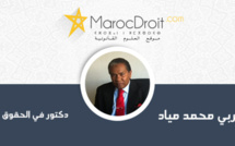 صلاحية  النيابة العامة  بين سلطة الاتهام والملاءمة