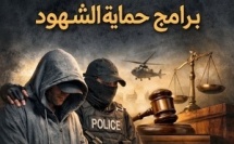 "برامج حماية الشهود في تحقيق العدالة بقضايا الجريمة المنظمة"