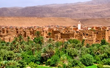 الجرائم الماسة بملكية الأراضي السلالية وإشكالية الإذن الإداري لتحريك الدعوى العمومية في ضوء القانون 62.17 والعمل القضائي